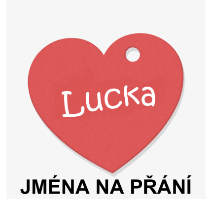 Visačka - srdce 4 x 3,5 cm - Jméno (33 ks/bal)